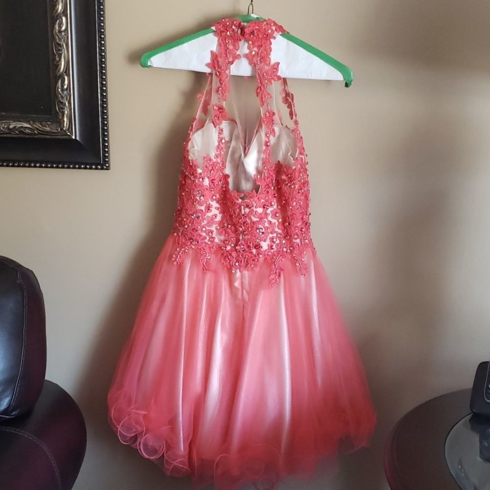 Coral Dress with matching Evening Purse - Picture 5 of 9